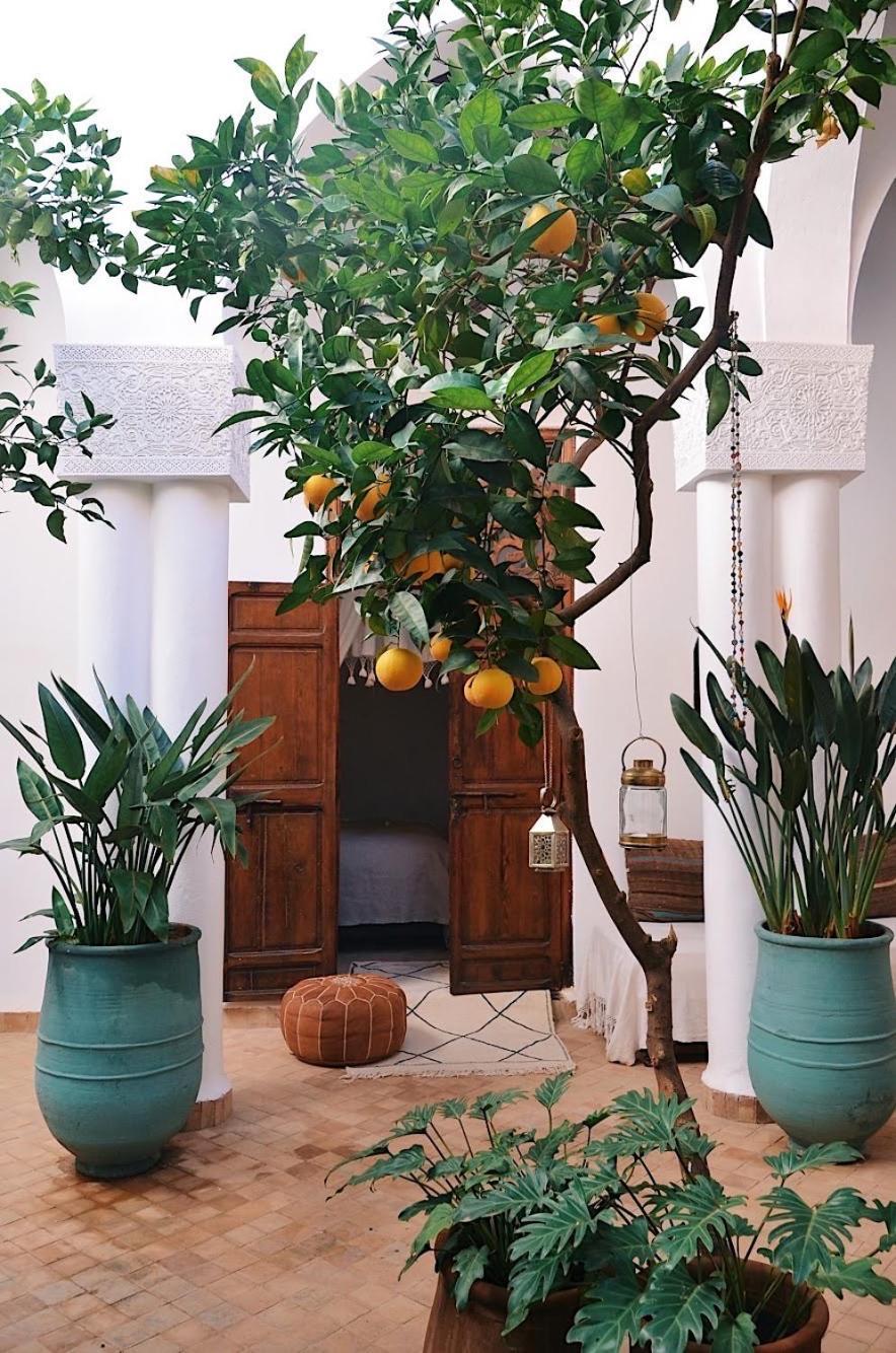 Nosade Venue Bed & Breakfast Marrakesh Exterior foto